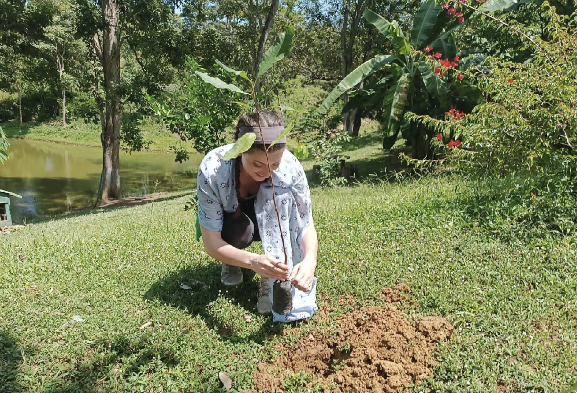 Siembra de árboles nativos del bosque seco tropical