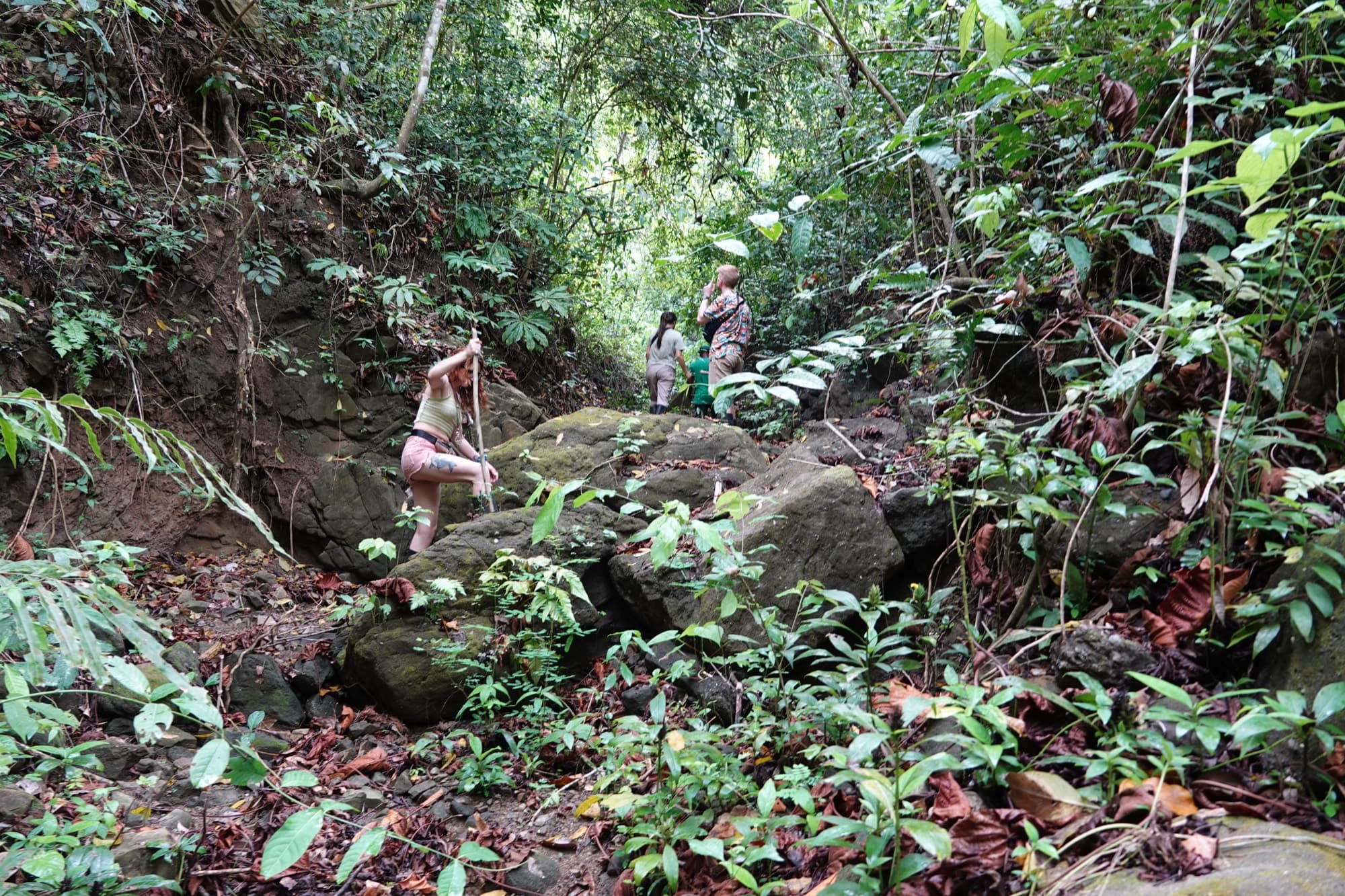 Visitors hiking through the tropical dry forest at Los Loros