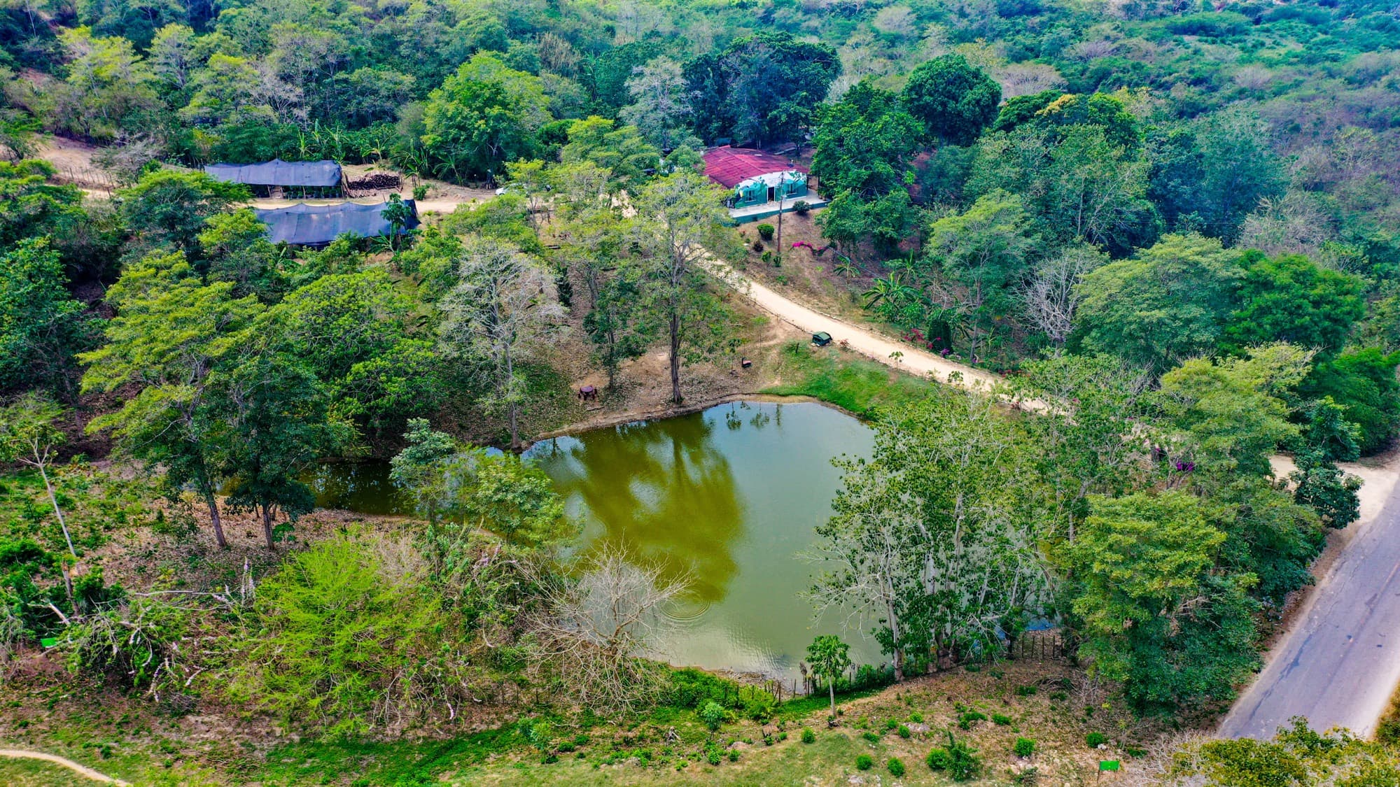 Vista aérea del corazón operativo de Los Loros — bosque, casa principal, lago y vías rodeados por bosque seco tropical