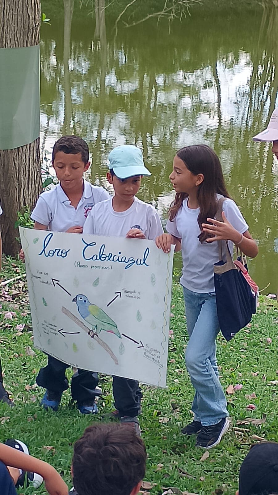 Los carteles del Colegio Cojowa junto al estanque · 11