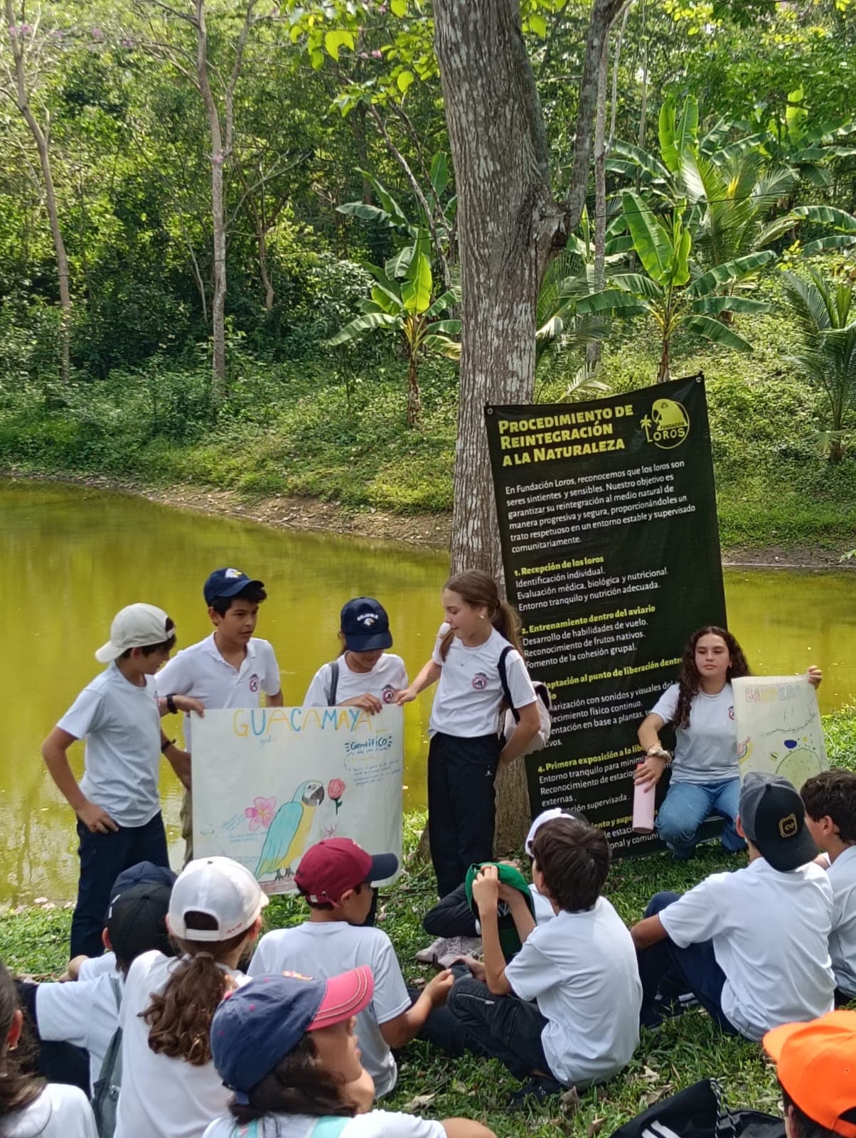Los carteles del Colegio Cojowa junto al estanque · 16