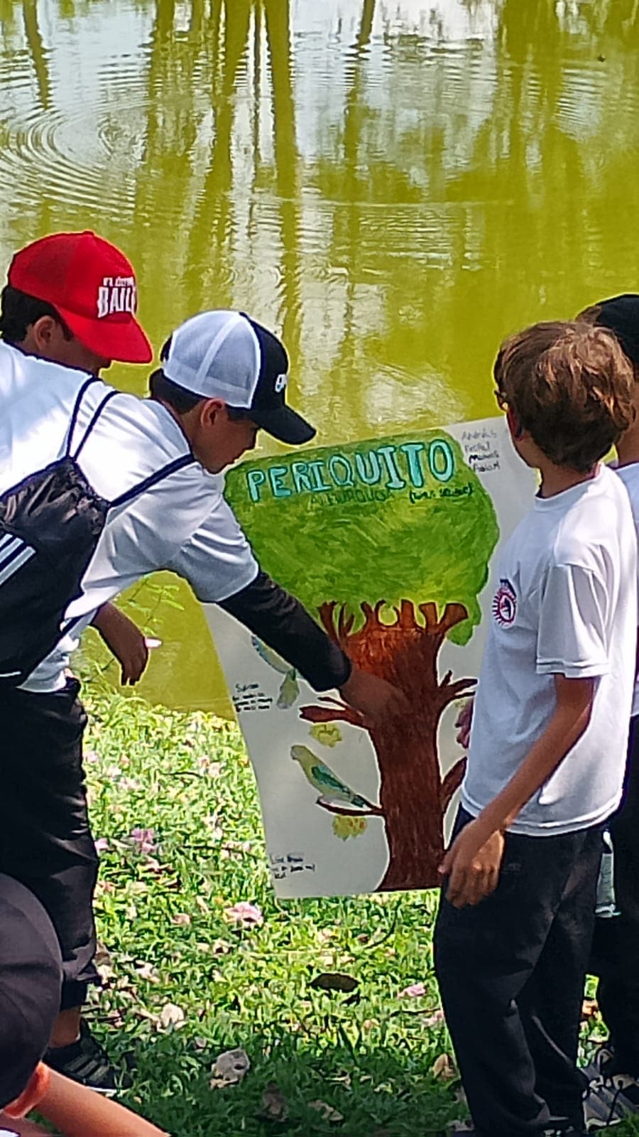 Los carteles del Colegio Cojowa junto al estanque · 17