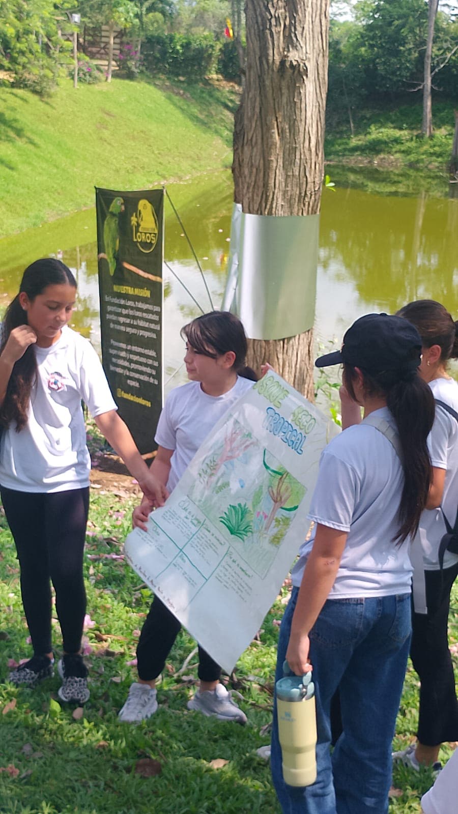 Los carteles del Colegio Cojowa junto al estanque · 18