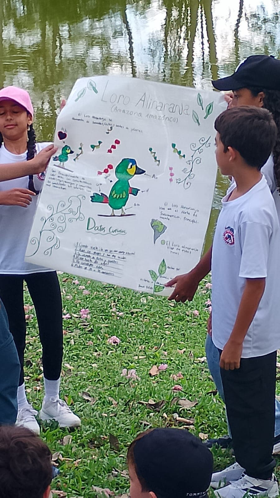 Los carteles del Colegio Cojowa junto al estanque · 19