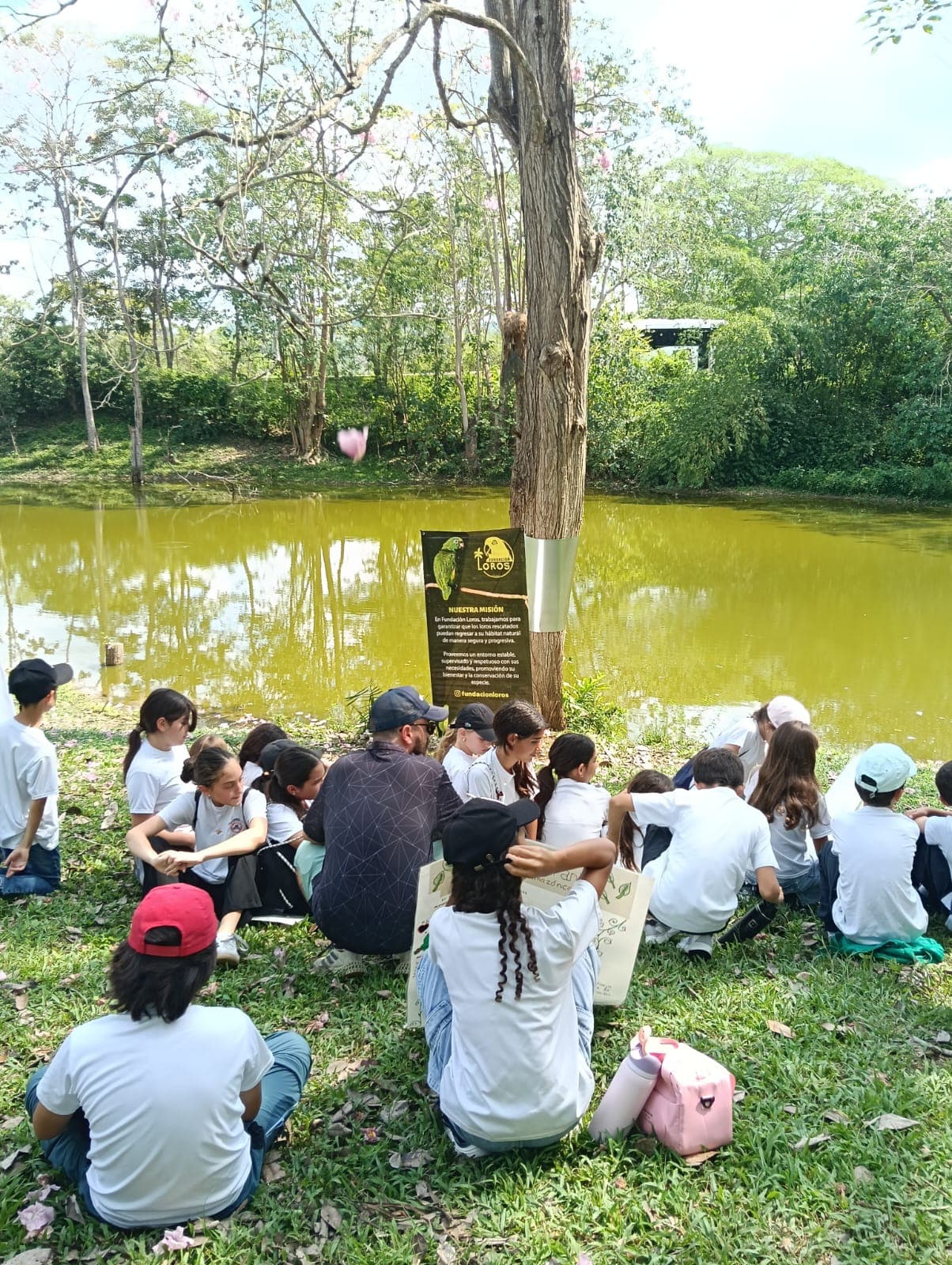 Los carteles del Colegio Cojowa junto al estanque · 20