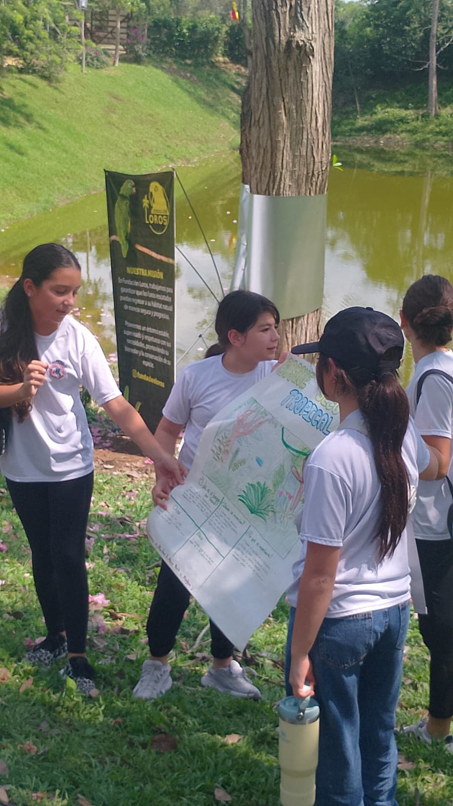 Los carteles del Colegio Cojowa junto al estanque · 3