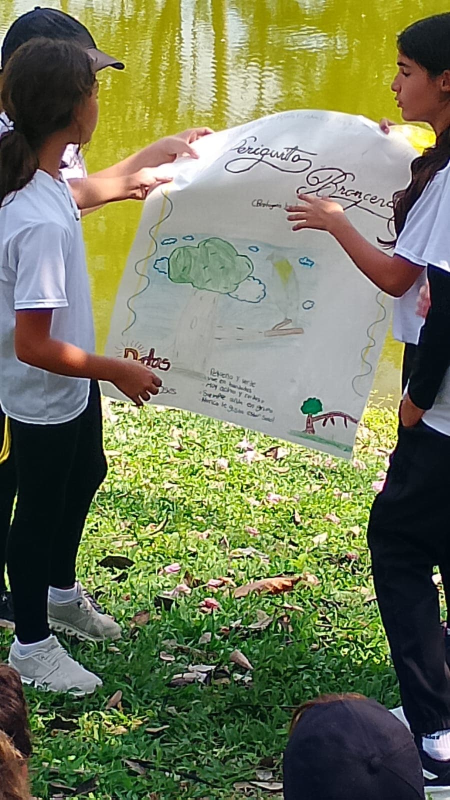 Los carteles del Colegio Cojowa junto al estanque · 25