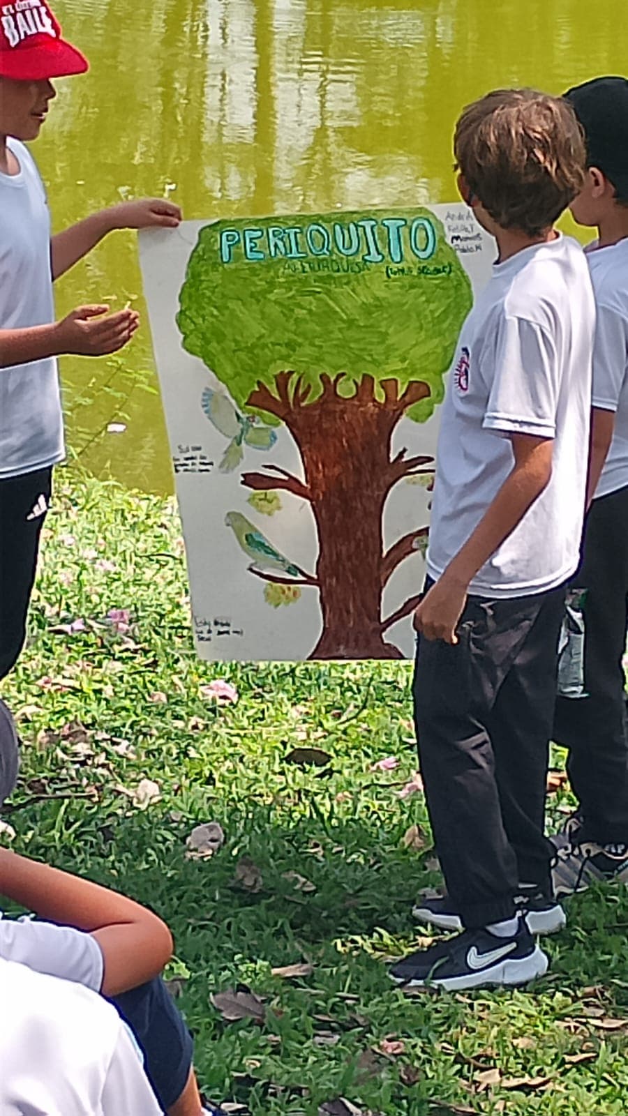 Los carteles del Colegio Cojowa junto al estanque · 10