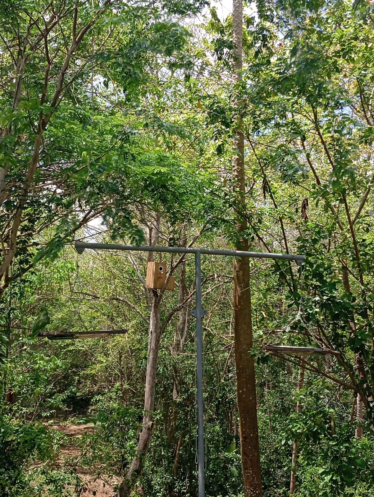 B173 Crossed the Wire into the Wild · 2