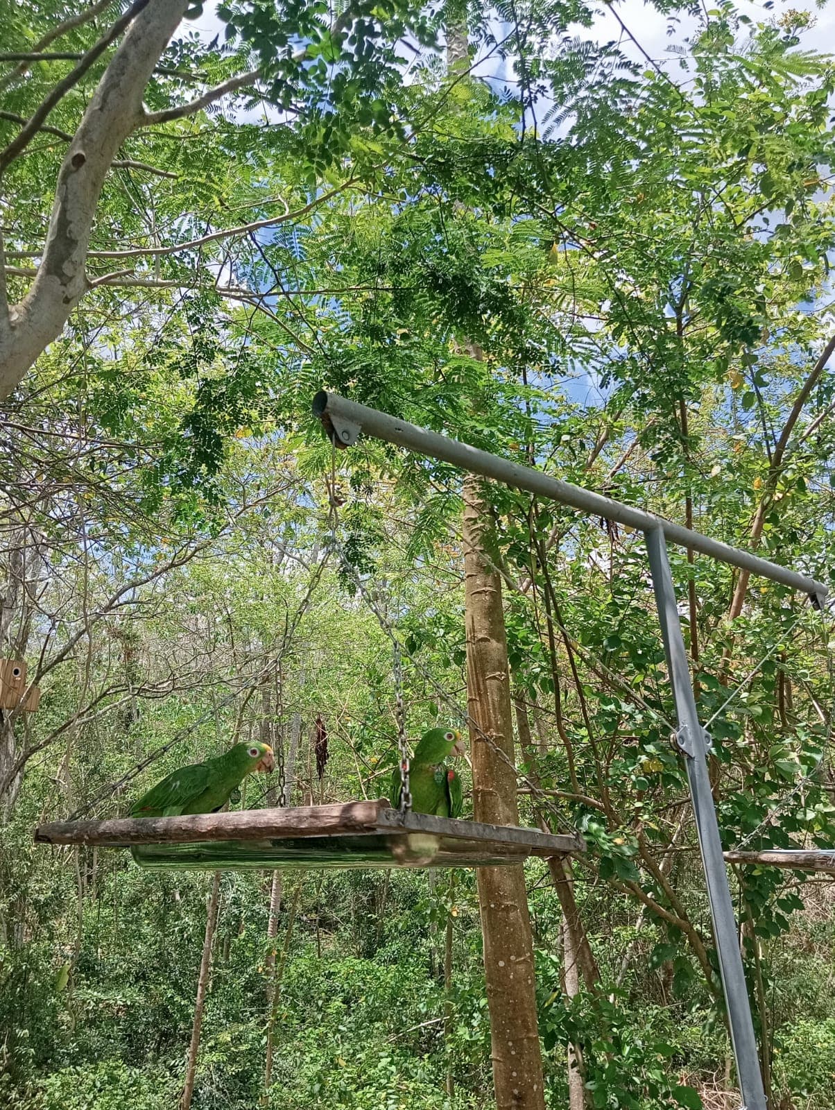 B173 Crossed the Wire into the Wild · 3
