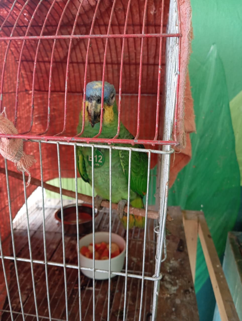 B12 Arrived with One Eye Closed · 2