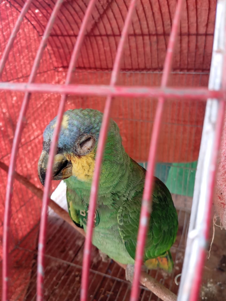 B12 Arrived with One Eye Closed · 4