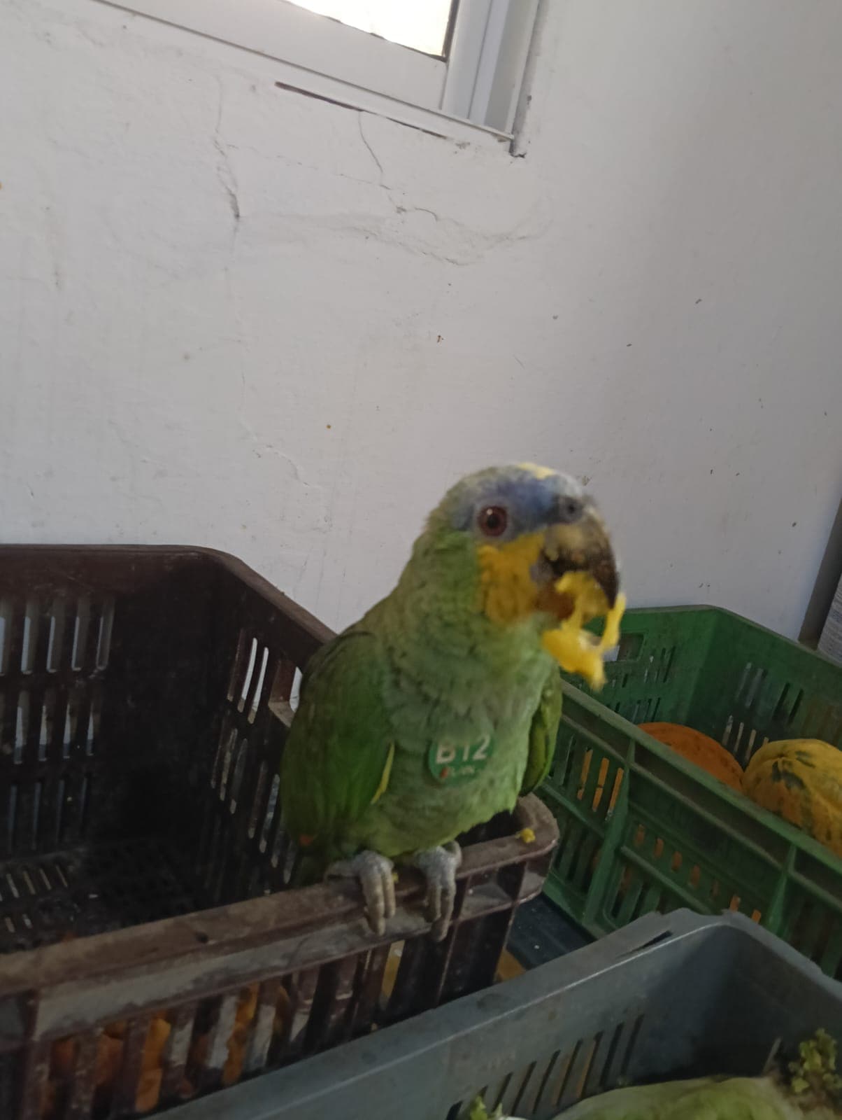 B12 Arrived with One Eye Closed · 5
