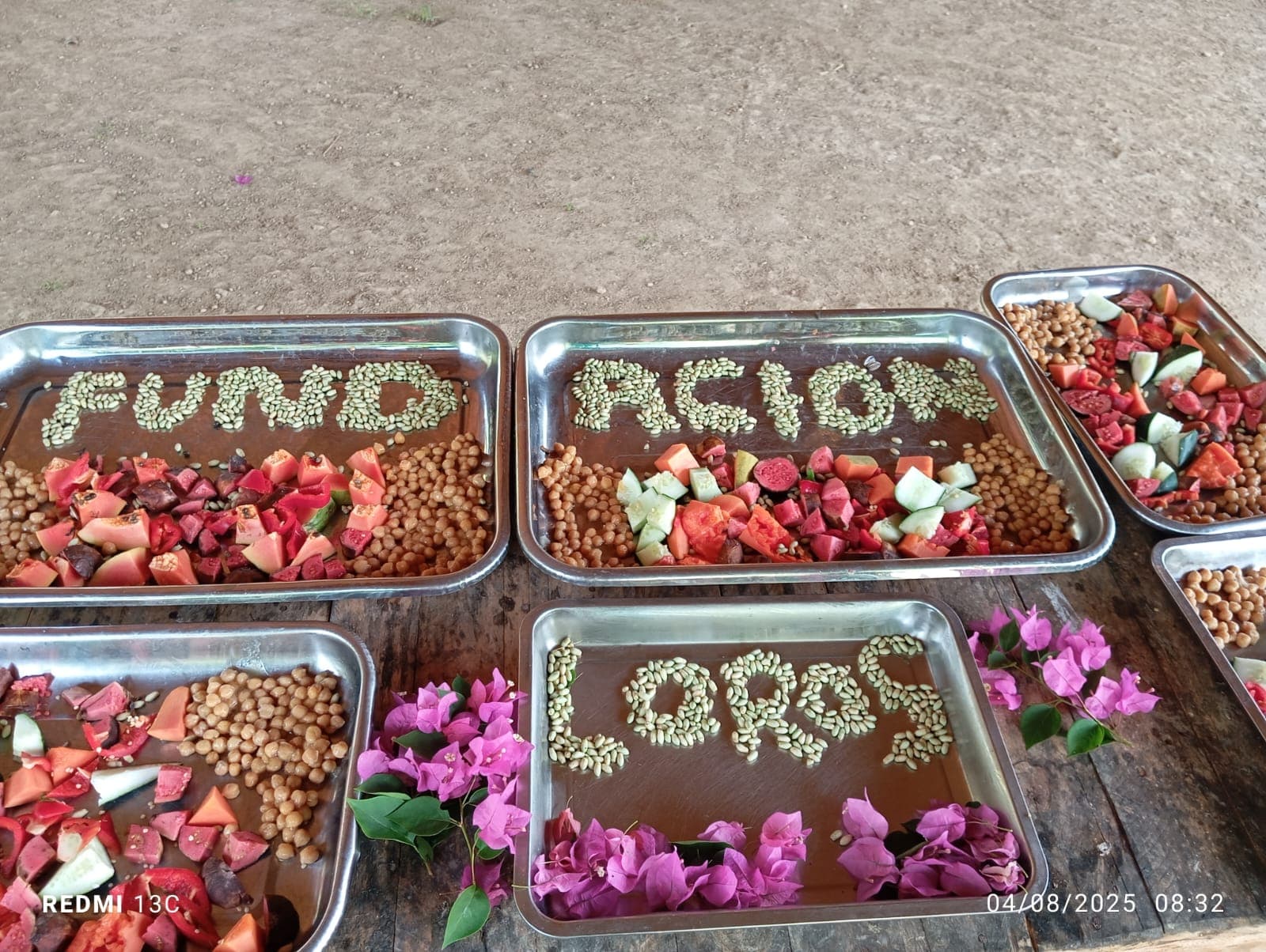 Fruits, Flowers, and a New Enclosure at the Reserve · 2