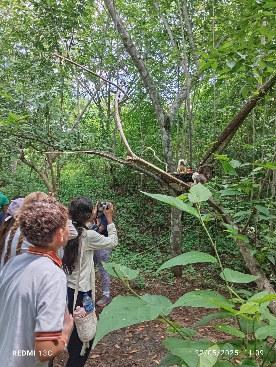 Fruits, Flowers, and a New Enclosure at the Reserve · 3