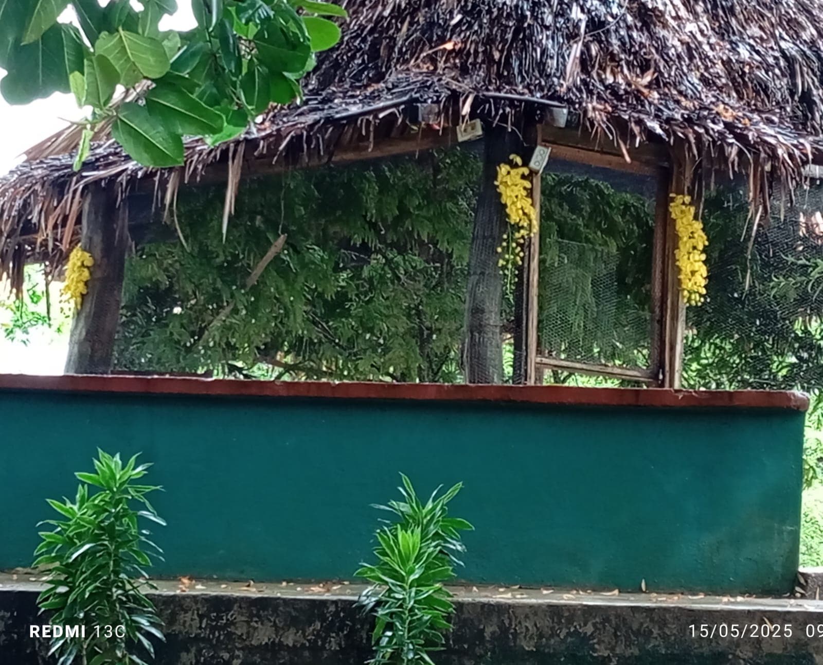 Fruits, Flowers, and a New Enclosure at the Reserve · 5