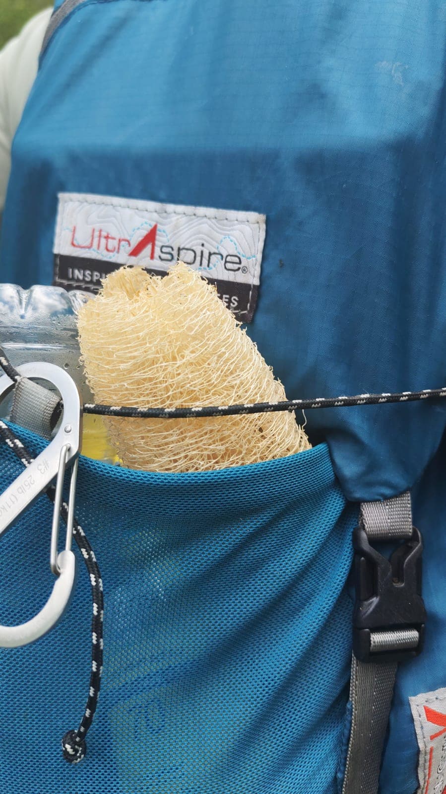 The loofah pods return to la Posa · 2